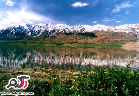 آشنایی با تالاب گندمان بروجن دارای پرندگان کمیاب