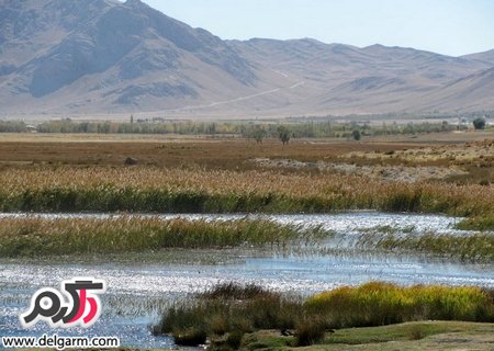 آشنایی با تالاب گندمان بروجن دارای پرندگان کمیاب