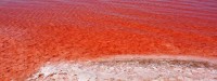 دریاچه ای که در تابستان قرمز و در زمستان آبی است